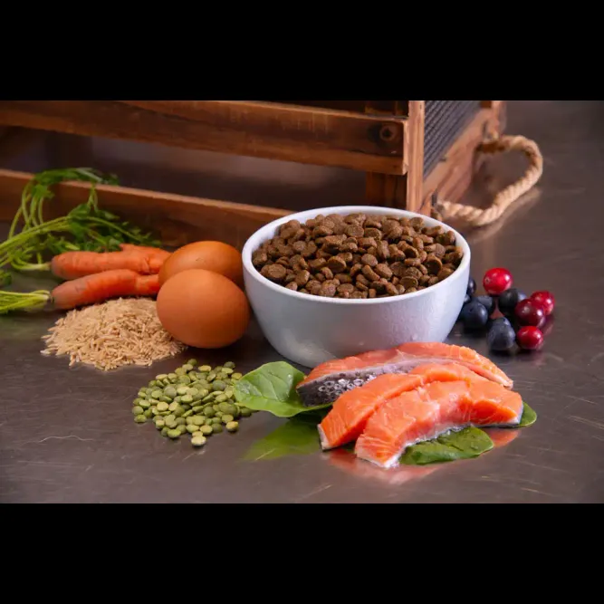 Pet Wants Salmon & Rice Dog Food (per lb)