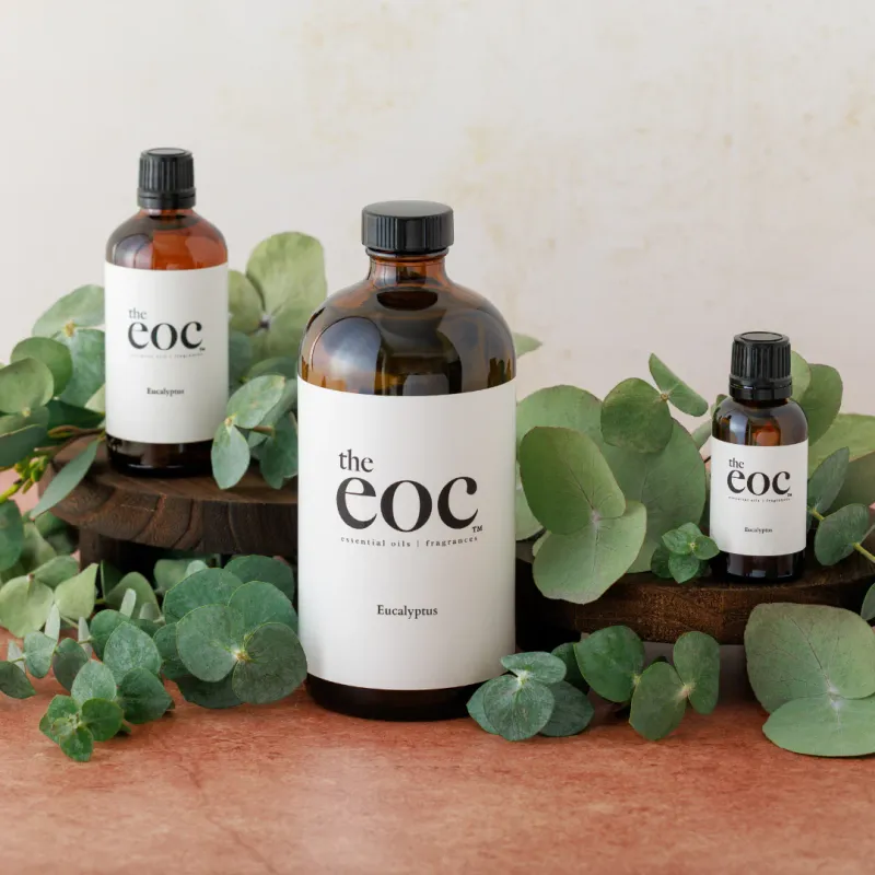 Eucalyptus