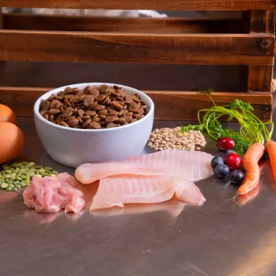 Pet Wants Whitefish & Duck Grain Free Dog Food (40 lb Bag)